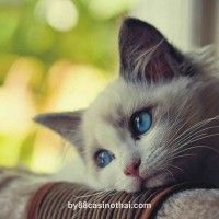 images (1)